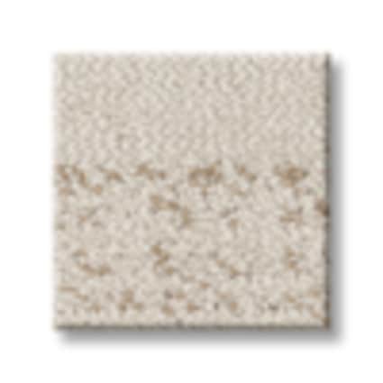 Shaw Glen Cove Espresso Pattern Carpet with Pet Perfect-Sample